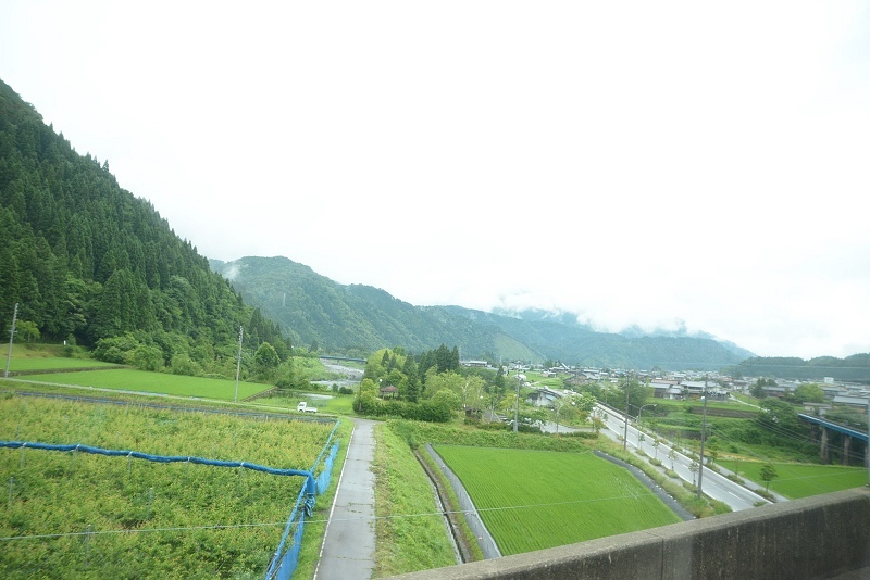 DSC_0956.jpg -  20150621 名古屋 