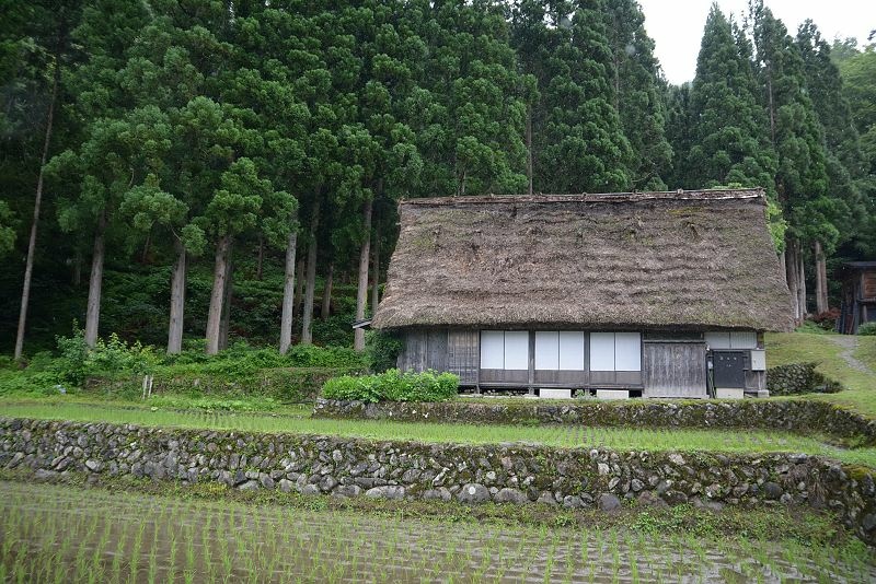 DSC_1029.jpg -  20150621 名古屋 