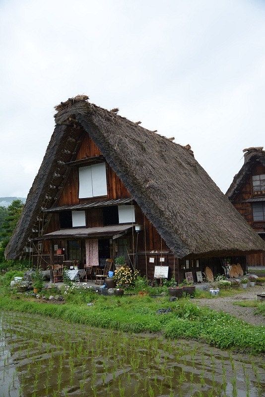 DSC_1042.jpg -  20150621 名古屋 