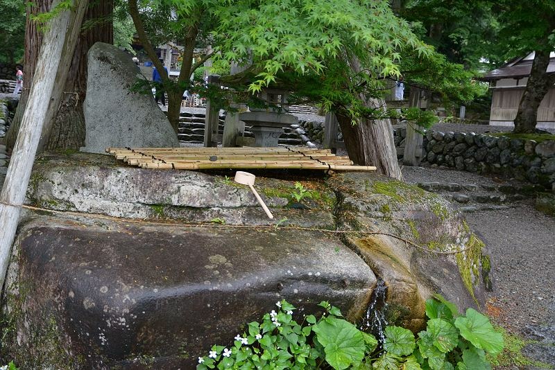 DSC_1052.jpg -  20150621 名古屋 