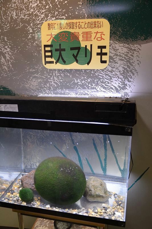 20140530 北海道第二天 - 阿寒湖