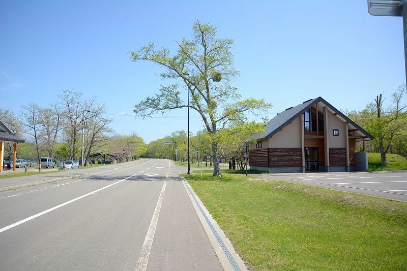 20140531 北海道第三天 - 芝櫻之美