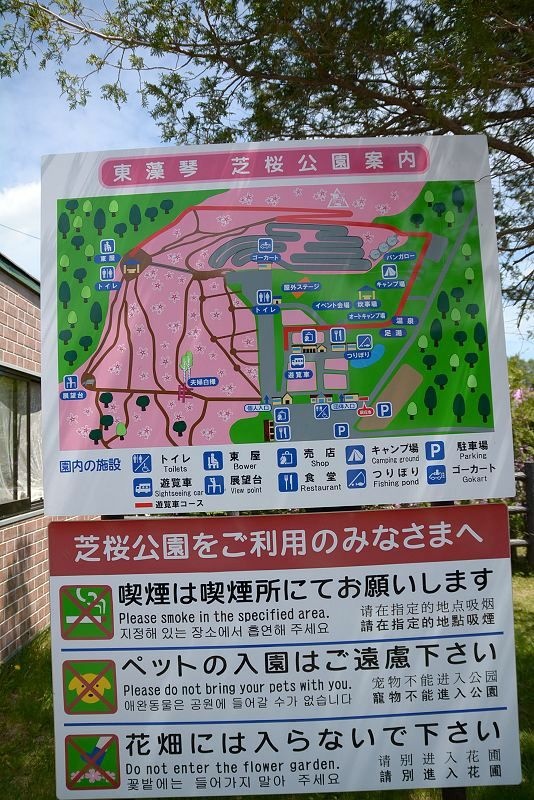 20140531 北海道第三天 - 芝櫻之美