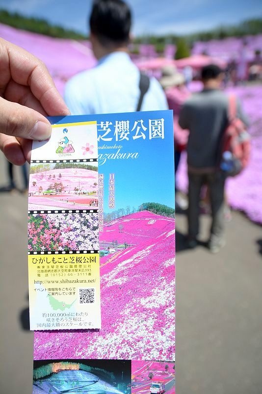 20140531 北海道第三天 - 芝櫻之美