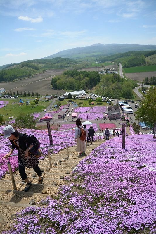 20140531 北海道第三天 - 芝櫻之美