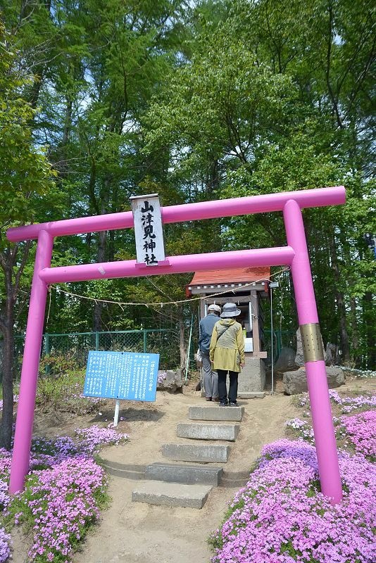 20140531 北海道第三天 - 芝櫻之美