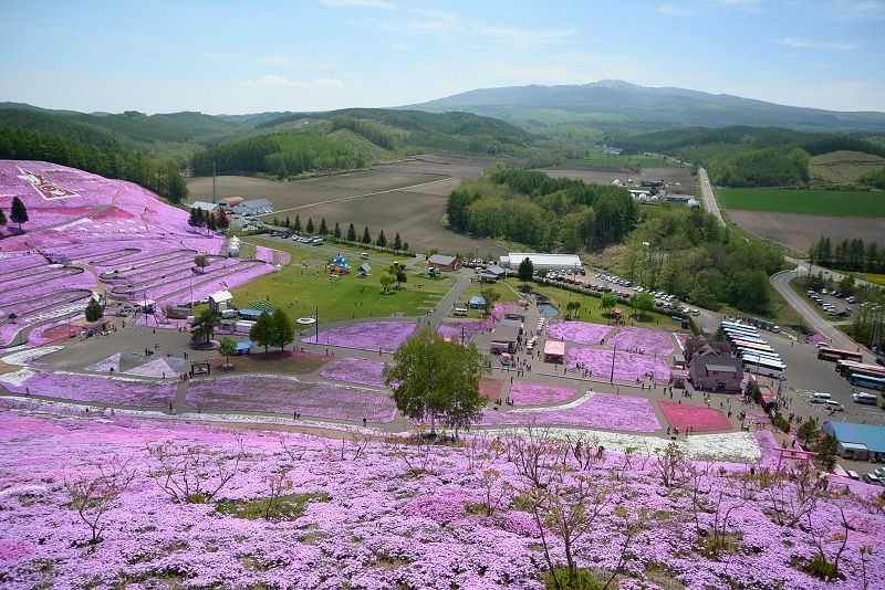 20140531 北海道第三天 - 芝櫻之美