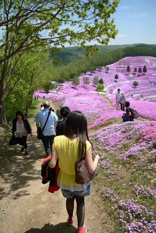 20140531 北海道第三天 - 芝櫻之美