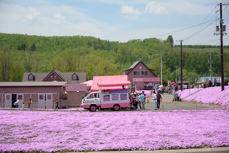 20140531 北海道第三天 - 芝櫻之美