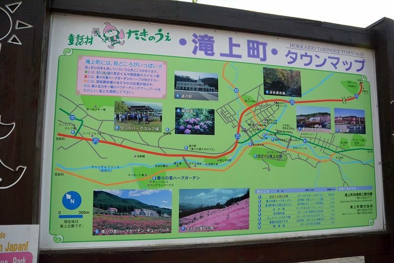 20140531 北海道第三天 - 芝櫻之美