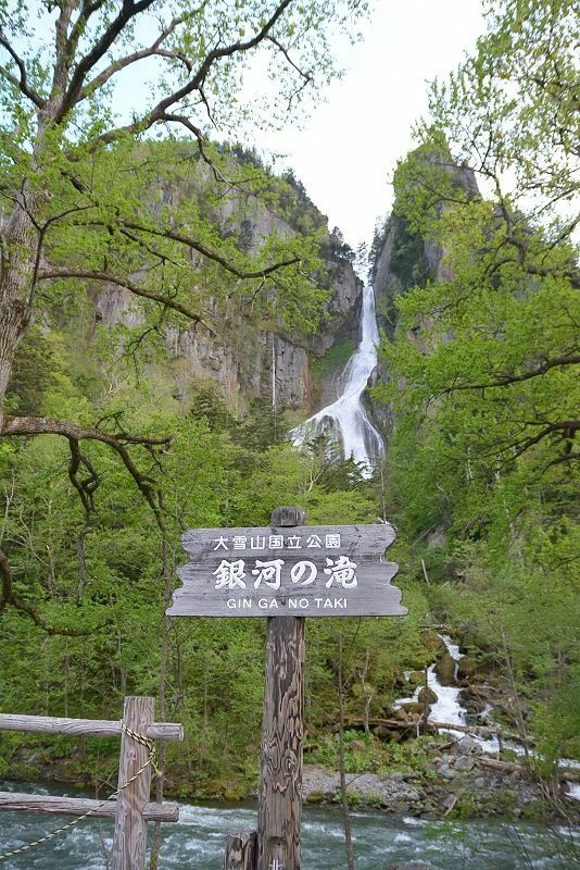 20140531 北海道第三天 - 芝櫻之美
