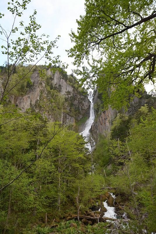 20140531 北海道第三天 - 芝櫻之美