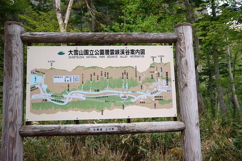 20140531 北海道第三天 - 芝櫻之美