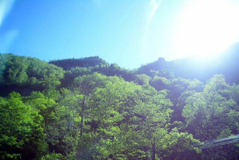 20140601 北海道第四天 - 浪漫小樽運河