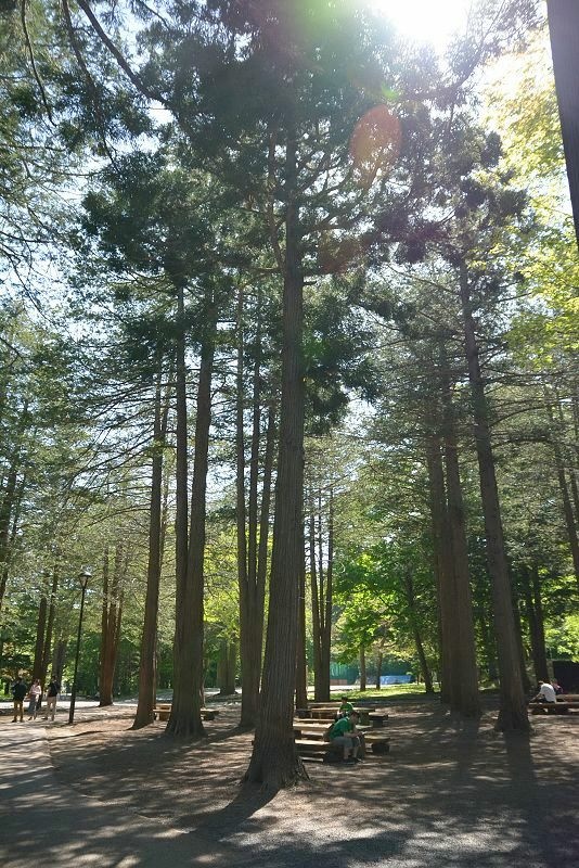 20140602 北海道第五天 - 草莓大福有包草莓