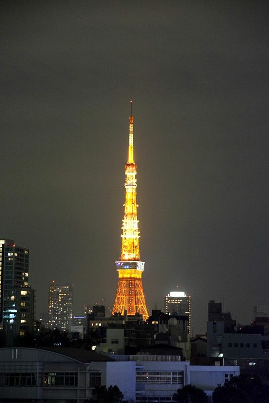20141228 東京第一天(下) - Tokyo City