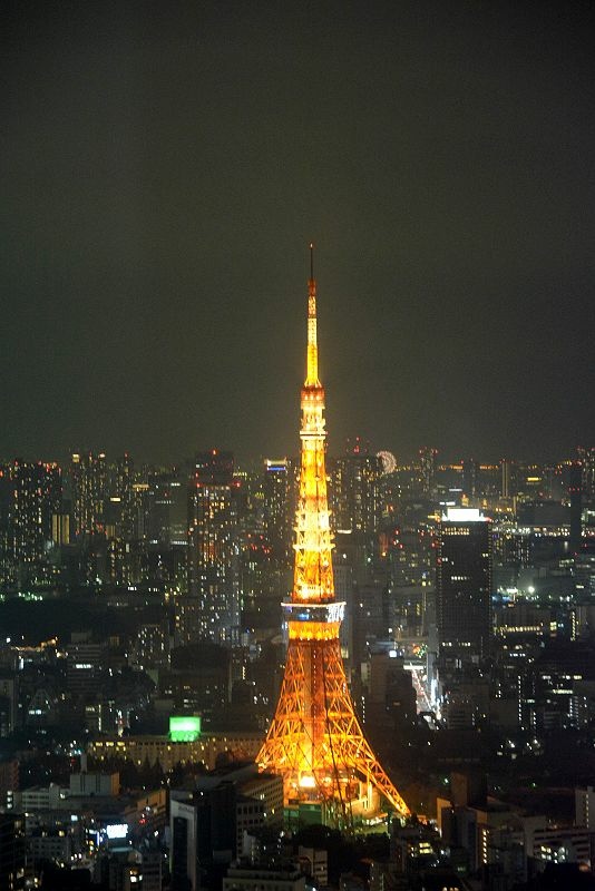 20141228 東京第一天(下) - Tokyo City