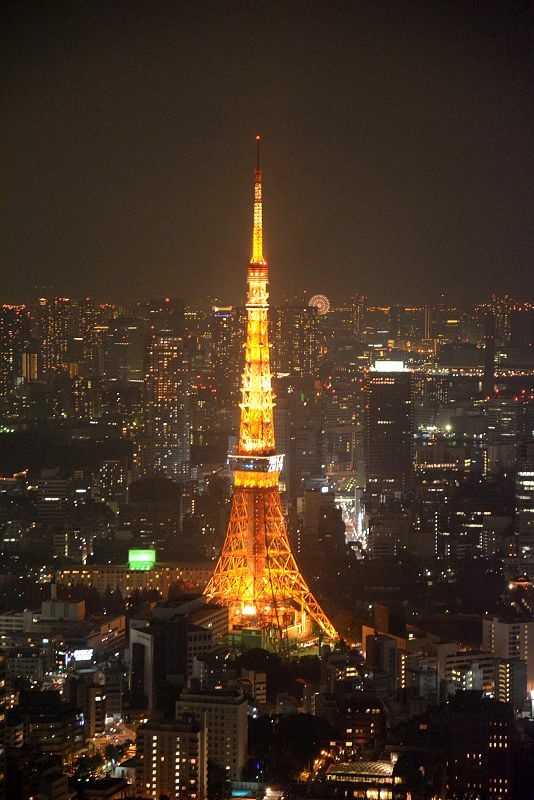 20141228 東京第一天(下) - Tokyo City