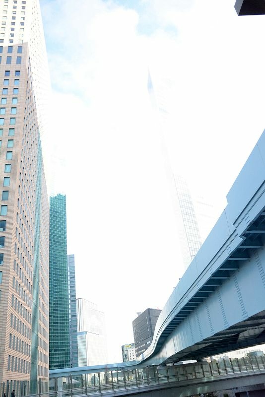 20141230 東京第三天(上) 不吃生魚片的築地市場