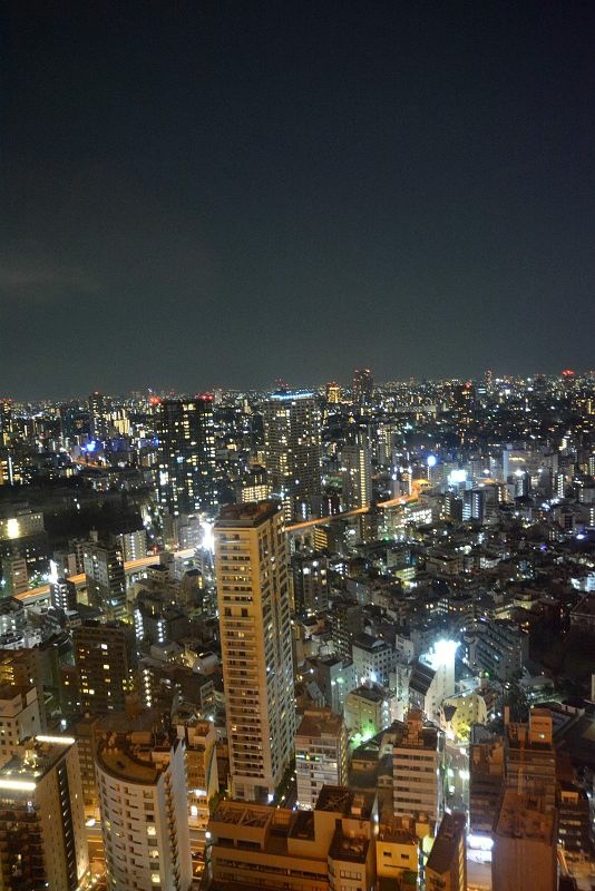 20141231 東京第四天(下) 東京鐵塔與新年