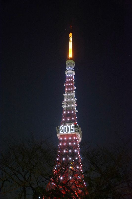 20141231 東京第四天(下) 東京鐵塔與新年