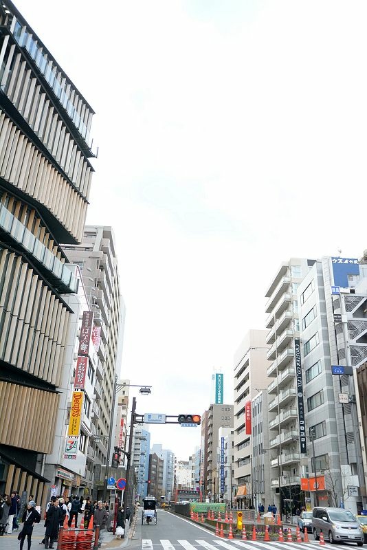 20150101 東京第五天(上) 淺草寺