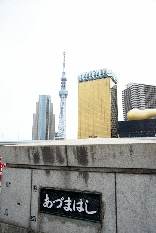 20150101 東京第五天(上) 淺草寺