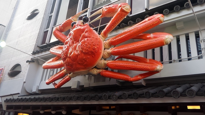 P_20151228_150527.jpg - 20151228-20160102大阪京都奈良