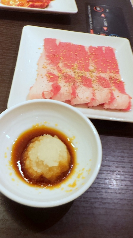 P_20151228_183327.jpg - 20151228-20160102大阪京都奈良