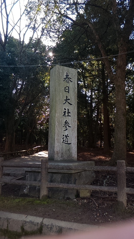 P_20151229_101611.jpg - 20151228-20160102大阪京都奈良
