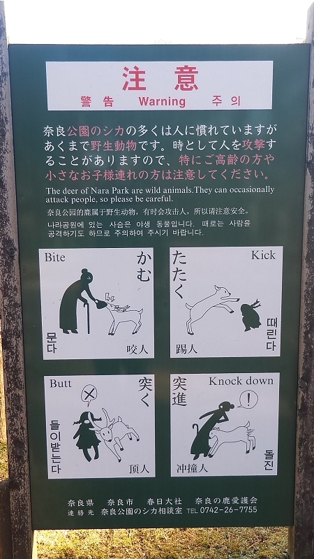P_20151229_104324.jpg - 20151228-20160102大阪京都奈良