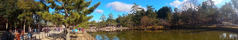 P_20151229_104513_PN.jpg - 20151228-20160102大阪京都奈良