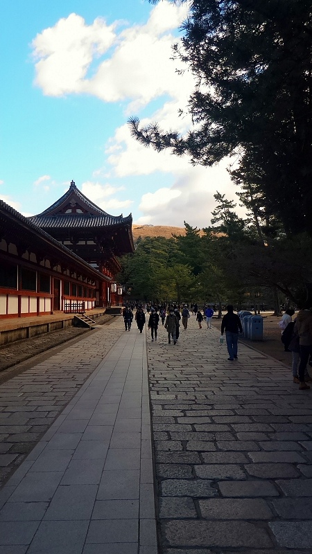 P_20151229_105307.jpg - 20151228-20160102大阪京都奈良