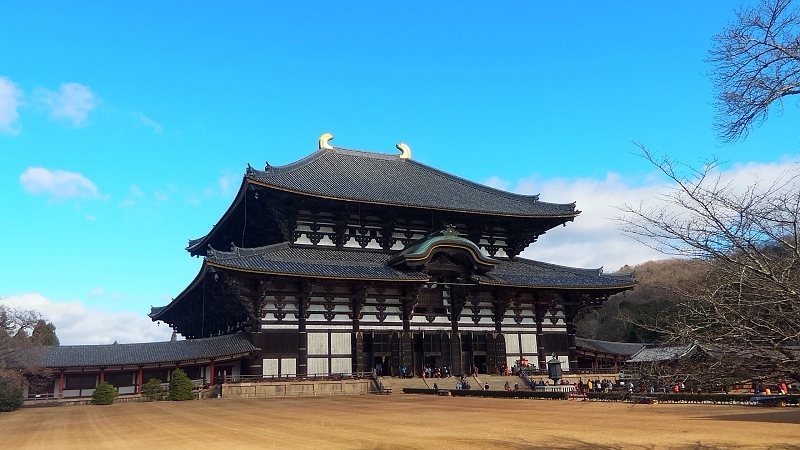 P_20151229_105631.jpg - 20151228-20160102大阪京都奈良