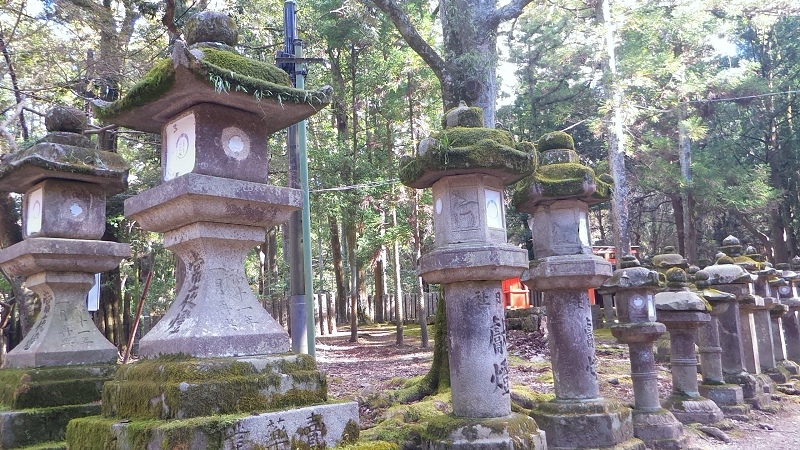 P_20151229_115937.jpg - 20151228-20160102大阪京都奈良