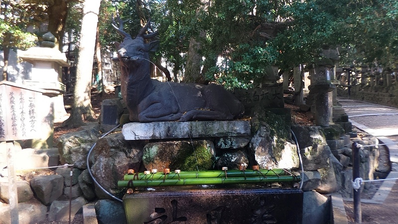 P_20151229_120901.jpg - 20151228-20160102大阪京都奈良