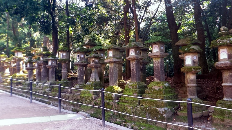 P_20151229_120950.jpg - 20151228-20160102大阪京都奈良
