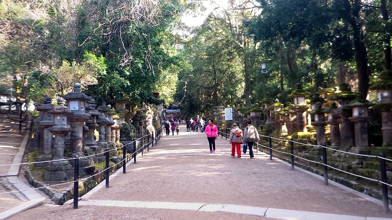 P_20151229_120953.jpg - 20151228-20160102大阪京都奈良