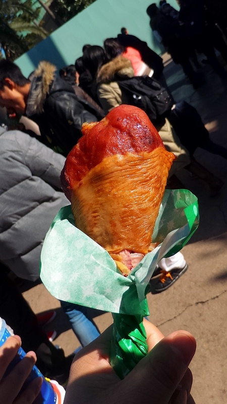 P_20151230_113833.jpg - 20151228-20160102大阪京都奈良