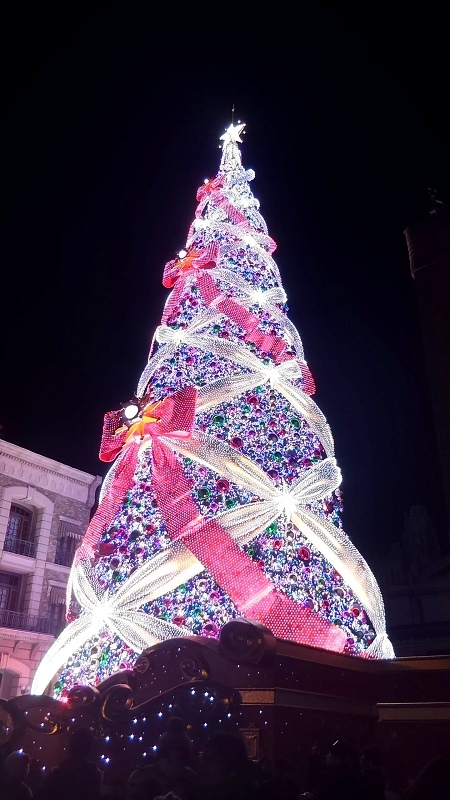 P_20151230_191603.jpg - 20151228-20160102大阪京都奈良