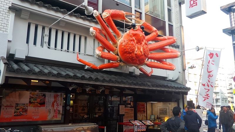 P_20151231_144806.jpg - 20151228-20160102大阪京都奈良