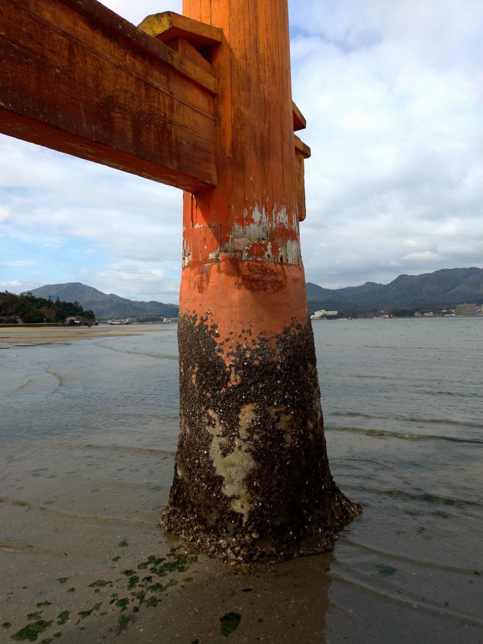 P_20181231_093519_vHDR_Auto.jpg - 20181231廣島