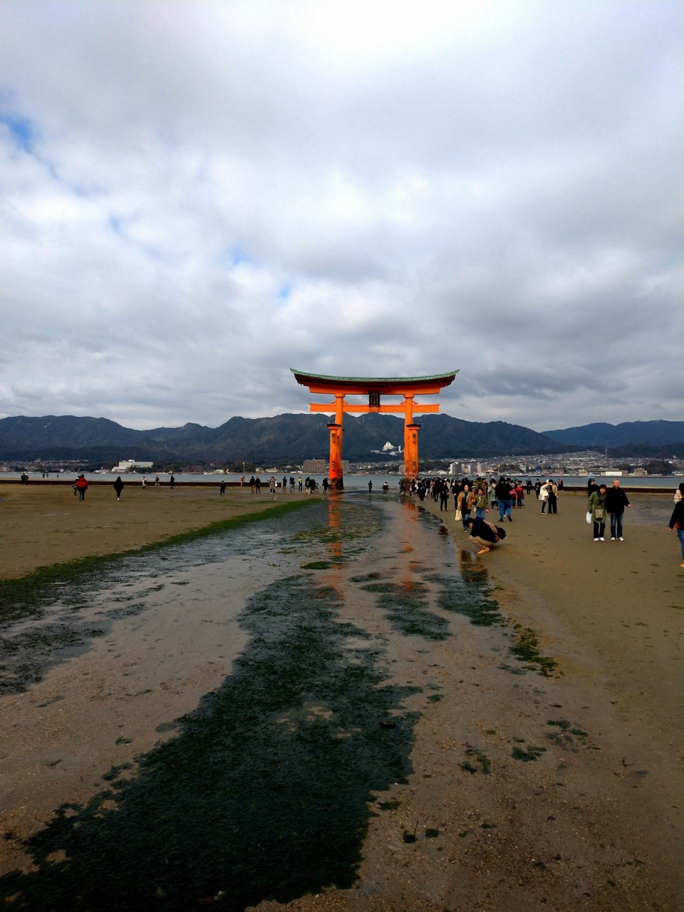 P_20181231_093743_vHDR_Auto.jpg - 20181231廣島