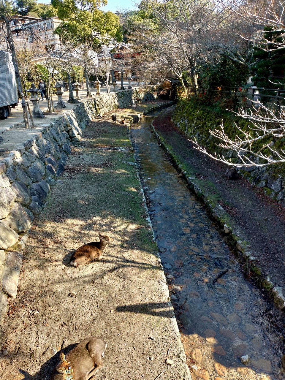P_20181231_114455_vHDR_Auto_HP.jpg - 20181231廣島