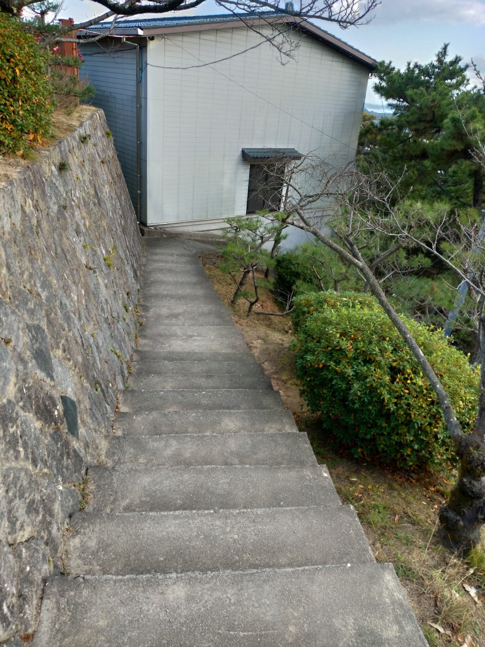 P_20190102_151001_vHDR_Auto_HP.jpg - 20190102廣島