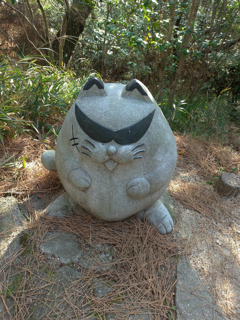 P_20190102_151112_vHDR_Auto.jpg - 20190102廣島