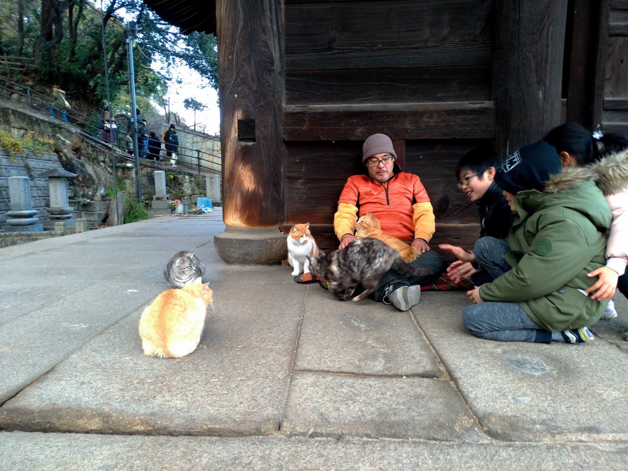 P_20190102_153552_vHDR_Auto.jpg - 20190102廣島