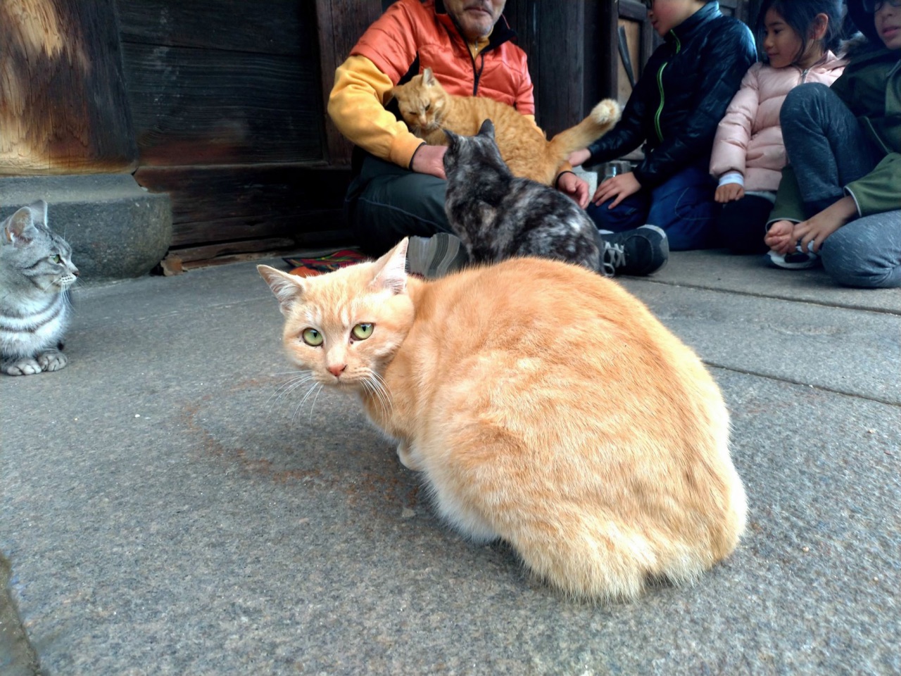 P_20190102_153640_vHDR_Auto.jpg - 20190102廣島