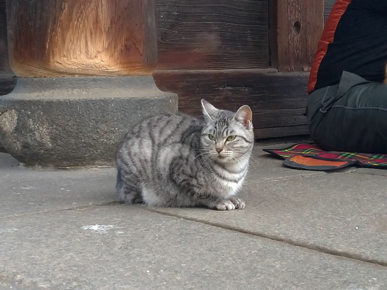 P_20190102_153617_vHDR_Auto.jpg - 20190102廣島
