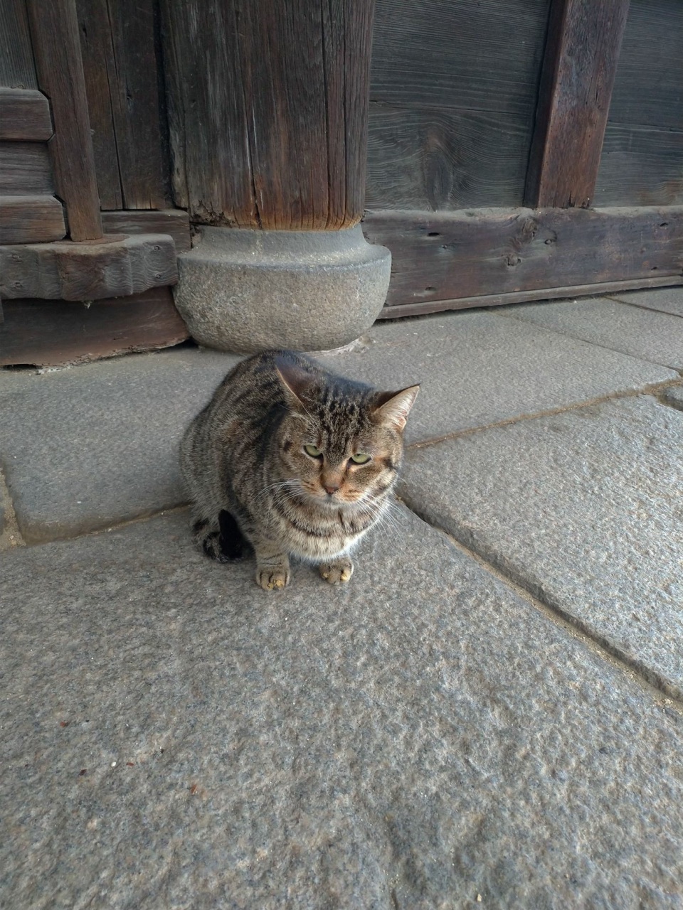 P_20190102_153842_vHDR_Auto.jpg - 20190102廣島